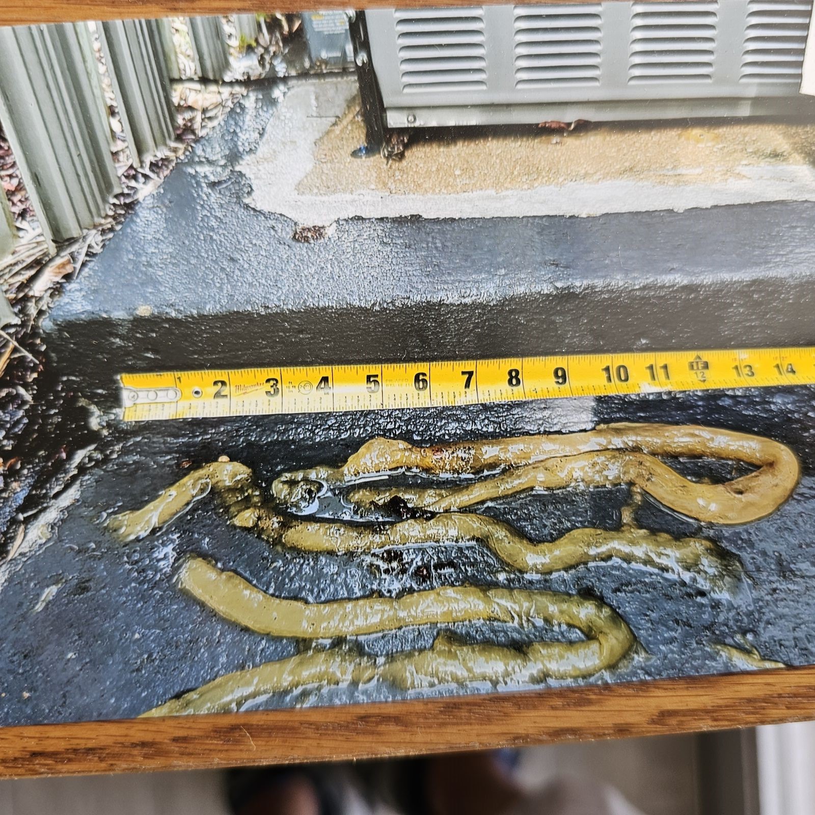 Professional HVAC Condensate Treatment